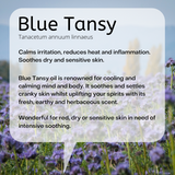 A field of blue tansy in the sun. Blue Tansy calms irritation, reduces heat and inflammation. Soothes dry and sensitive skin. A divine essential oil that will delight your senses with its brilliant blue colour and fresh, sweet & herbaceous scent. Wonderful for red or dry skin in need of intensive soothing. The smell makes me think of walking through a herb garden in the height of summer while it's raining. It's fresh and sweet and spicy – uplifting and calming at the same time.