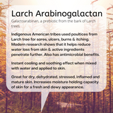 Galactoarabinan, a prebiotic from the bark of Larch trees Indigenous American tribes used poultices from Larch tree for sores, ulcers, burns & itching. Modern research shows that it helps reduce water loss from skin & active ingredients penetrate further. Also has antimicrobial benefits. Instant cooling and soothing effect when mixed with water and applied to skin. Great for dry, dehydrated, stressed, inflamed and mature skin. Increases moisture holding capacity of skin for a fresh and dewy appearance.