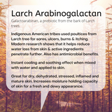 Galactoarabinan, a prebiotic from the bark of Larch trees  Indigenous American tribes used poultices from Larch tree for sores, ulcers, burns & itching. Modern research shows that it helps reduce water loss from skin & active ingredients penetrate further. Also has antimicrobial benefits.  Instant cooling and soothing effect when mixed with water and applied to skin.  Great for dry, dehydrated, stressed, inflamed and mature skin. Increases moisture holding capacity of skin for a fresh and dewy appearance. 