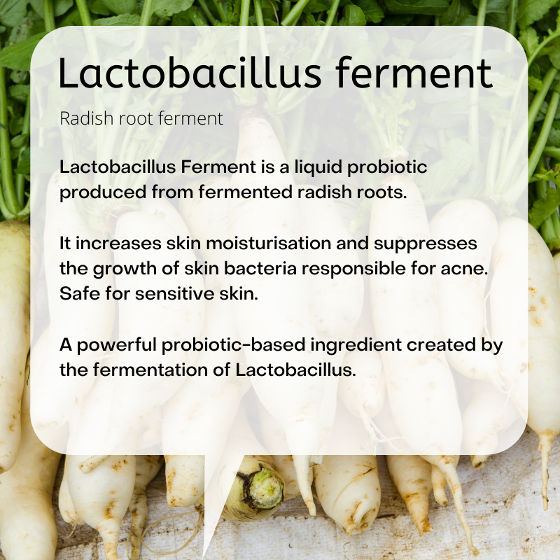 Radish root ferment  Lactobacillus Ferment is a liquid probiotic produced from fermented radish roots.   It increases skin moisturisation and suppresses the growth of skin bacteria responsible for acne. Safe for sensitive skin.  A powerful probiotic-based ingredient created by the fermentation of Lactobacillus.